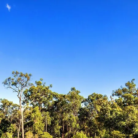 Perfect Location For Yarra Valley Dandenong Ranges Mount Evelyn Exterior photo